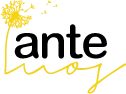 Logo de Centro de Día Adiante Mos