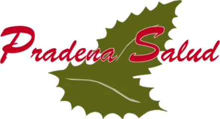 Logo de Residencia para Personas Mayores Pradena Salud