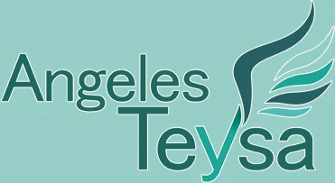 Logo de Centro de Día para Mayores Ángeles Teysa